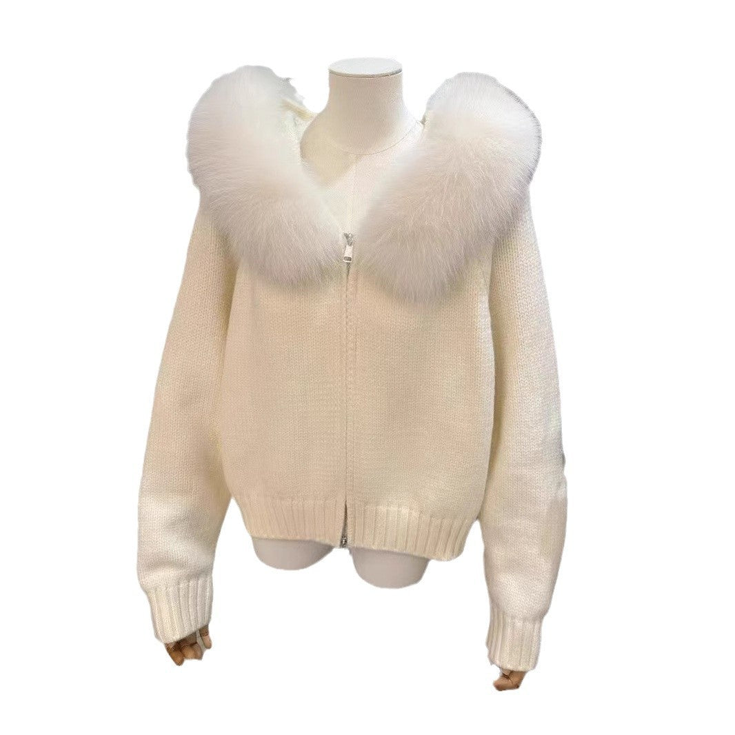 Veste Hivernale